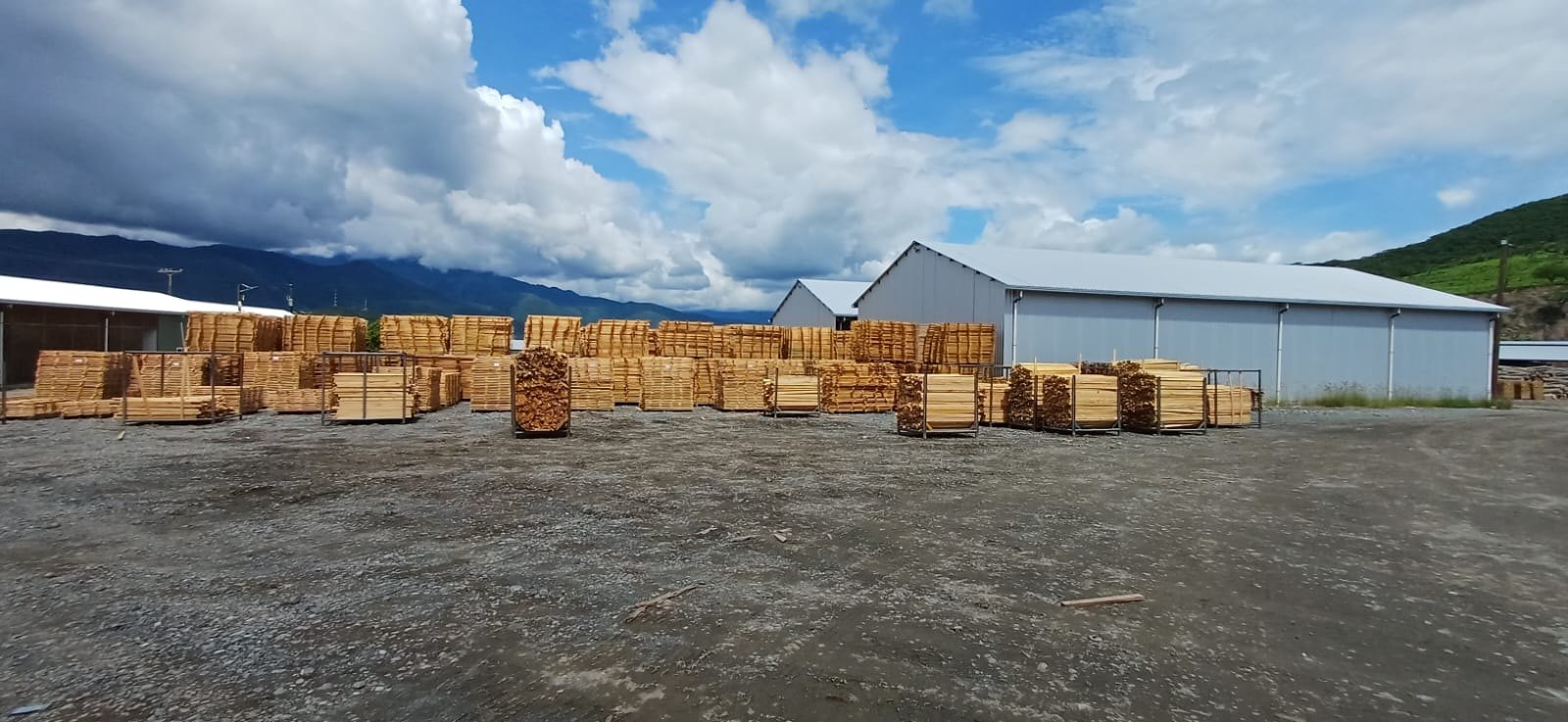 Nuestra empresa