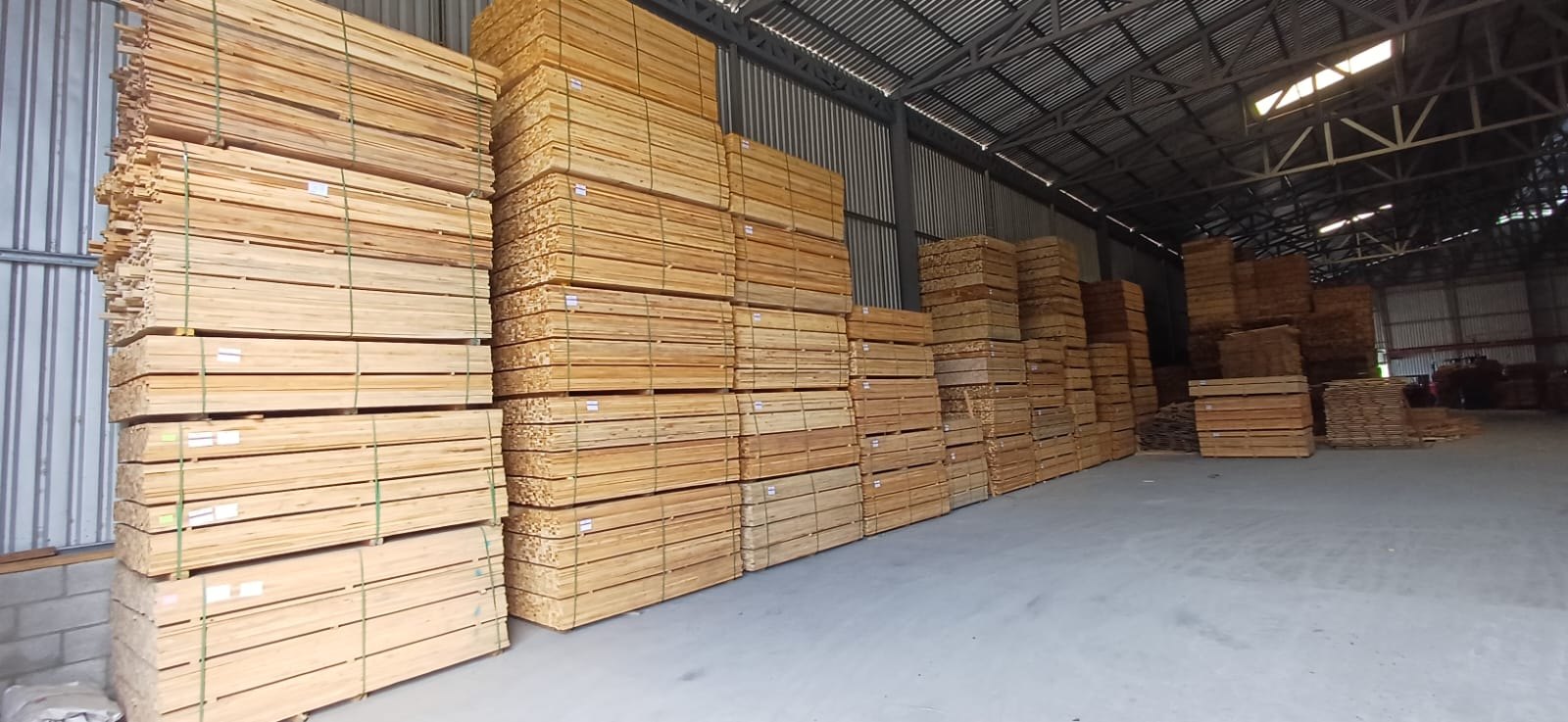 Orden y resguardo de la madera