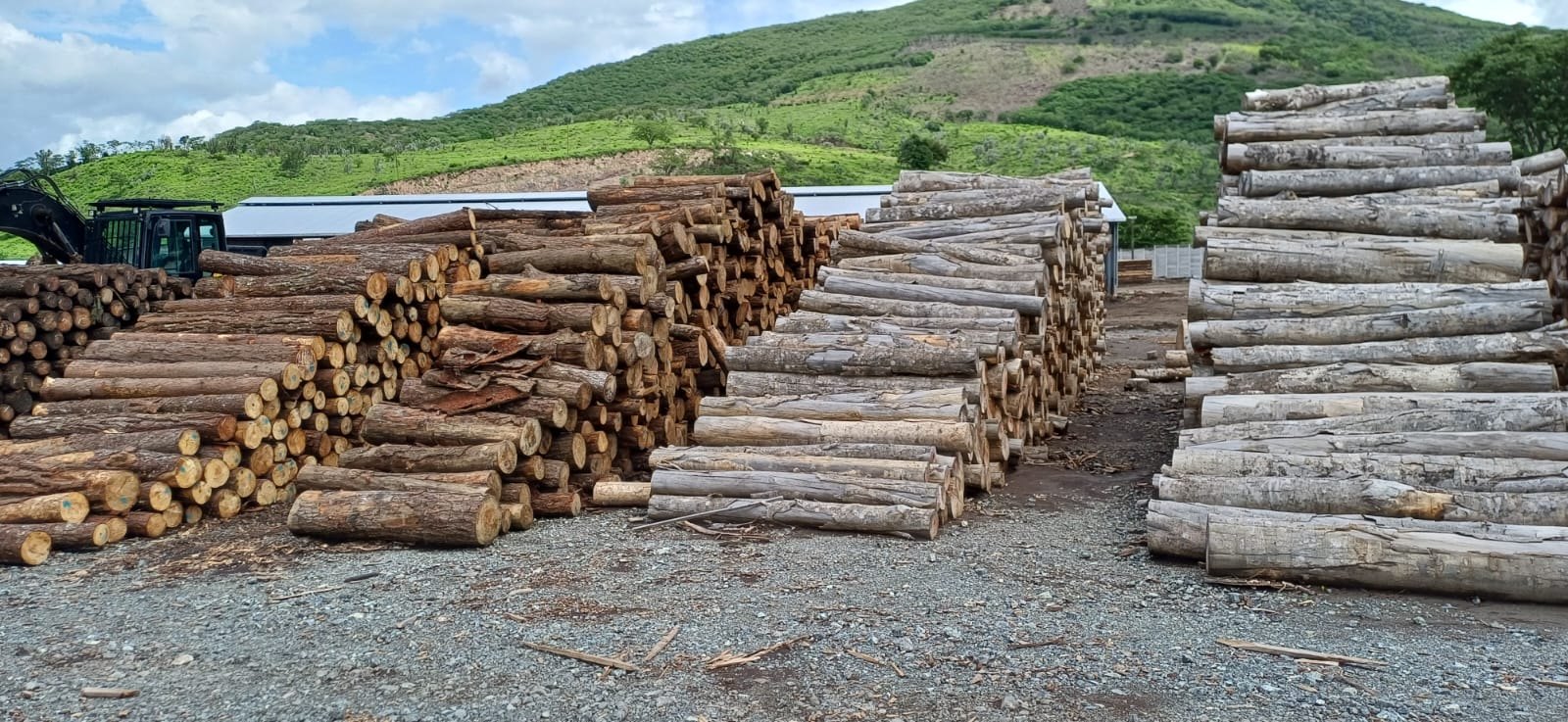 Instalaciones y madera de INFORCA