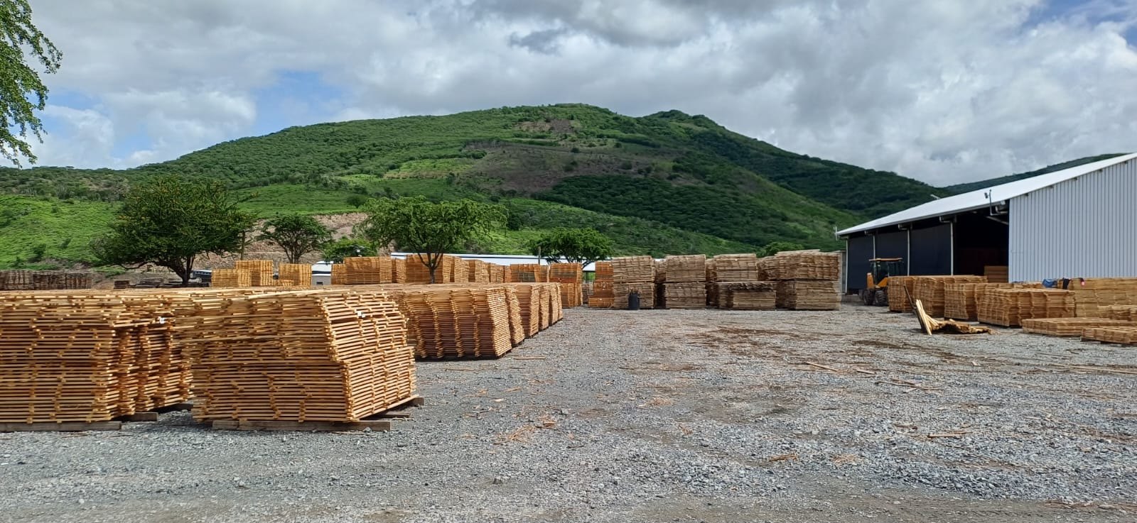 Patio de madera de INFORCA rodeado de montañas